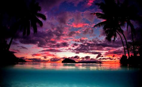 Landscape Nature Tahiti Sunset Palm Trees Island Beach - Island Palm ...