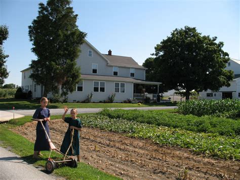 Amish country , Pennsilvania | Amish culture, Amish country pa, Amish farm