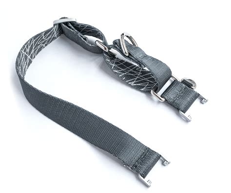 Fi Is Launching A Martingale Collar