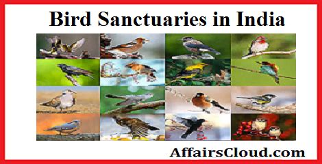 List of Bird Sanctuaries in India