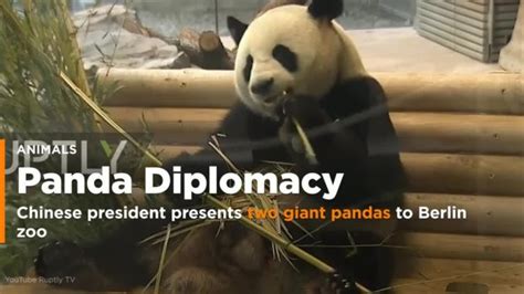 Panda Diplomacy – Publomacy