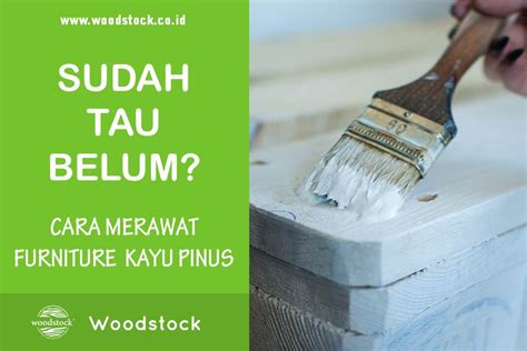 Sudah Tau? Cara Merawat Furniture dari Bahan Kayu Pinus? | Woodstock - Indonesian Plywood Exporter