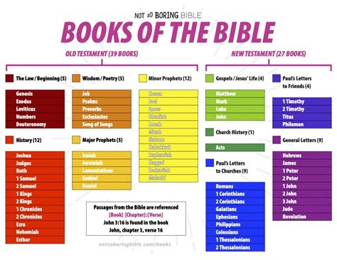 Books in the Bible - Not So Boring Bible