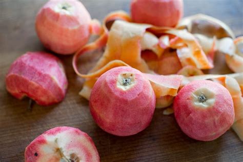 My Suburban Micro-Farm: Pink Fleshed Apples & Mini Orchards