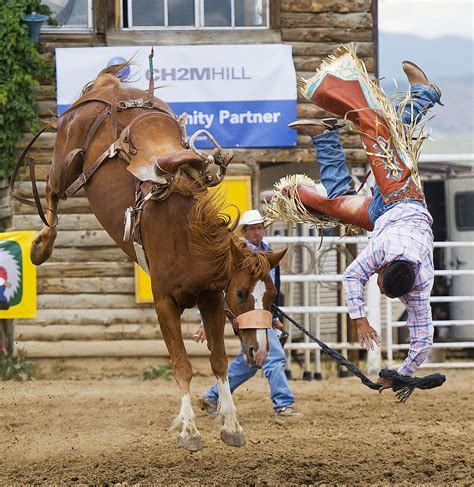 A saddle bronco rider is bucked off his horse at the annua… | Flickr