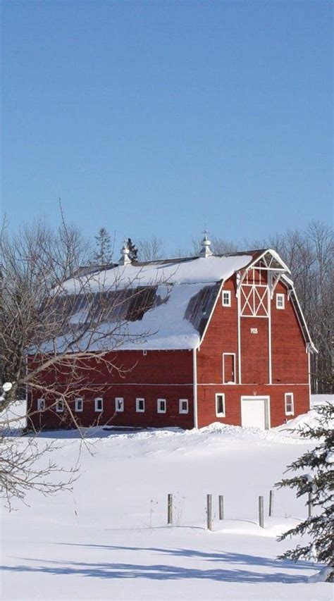 Barn In Winter Snow | Old barns, Best barns, Rustic barn