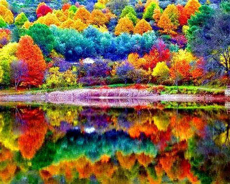 Pin by Dawn Radcliffe-Lotharius on YUM IMAGES | Autumn scenery, Scenery, Beautiful nature