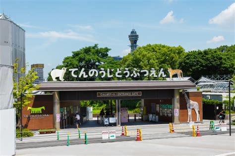 Tennoji Zoo - Ichiban OSAKA, Osaka’s best informational website for tourists, shopping lovers ...