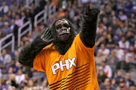 Suns’ gorilla mascot is the hero we all laughed at