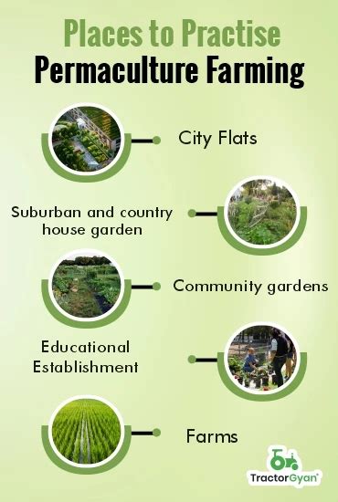 Permaculture Farming: Know about its Principles & Benefits (tg1201)