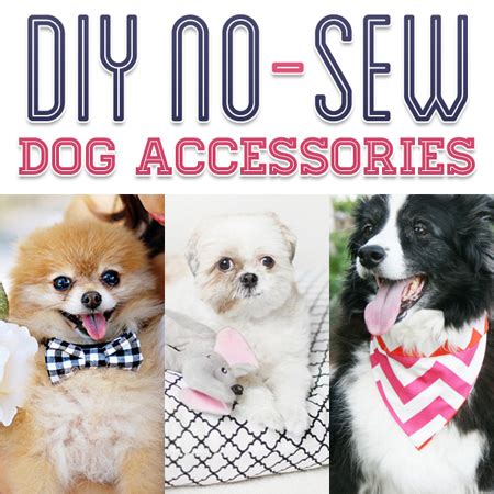 No-Sew DIY Dog Accessories | The Cottage Market