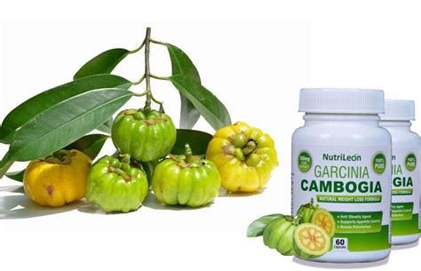 Buy Garcinia Cambogia for weight loss