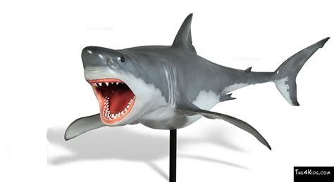 Great White Shark Sculpture - The 4 Kids