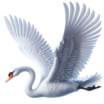 White Swan In Flight PNG Transparent Images Free Download | Vector ...