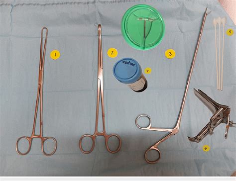 Standard setup for intrauterine device (IUD) removal with uterus model... | Download Scientific ...