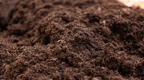 What’s The Difference Between Top Soil & Garden Soil? - Wellers Hill ...