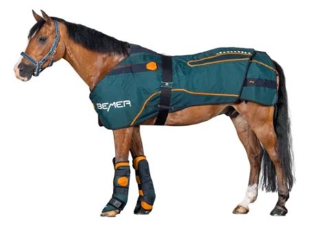 BEMER: The World Leading Therapy Rug for Horses - The Horse's Back