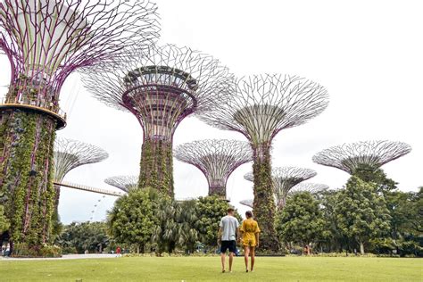 6 Photos Gardens By The Bay Supertrees And Review - Alqu Blog