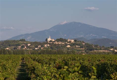 10 best wine tours & tastings in Cairanne 2023 | Winetourism.com