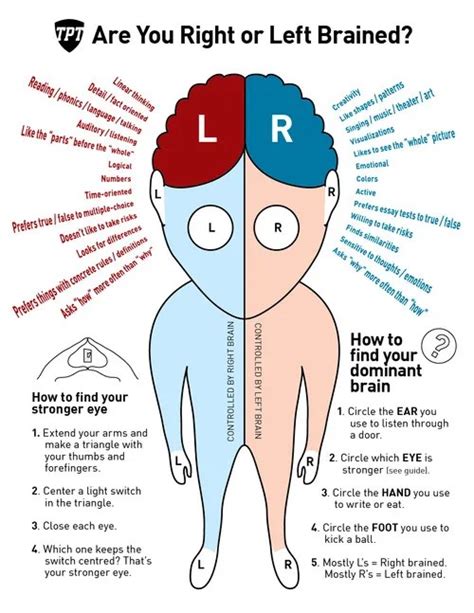 Are You Right or Left Brained? | The eNotes Blog
