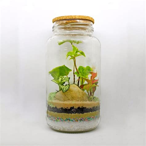 Terrarium Plants Bottle - Free photo on Pixabay - Pixabay