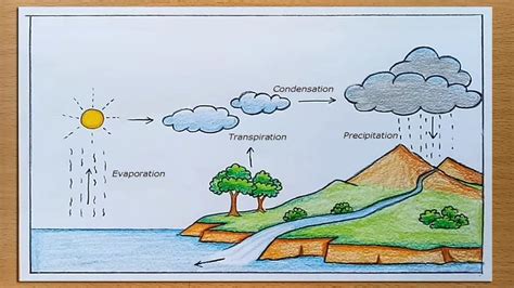 Draw Water Cycle and Label Elegant How to Draw Water Cycle Of A School Project | Water cycle ...