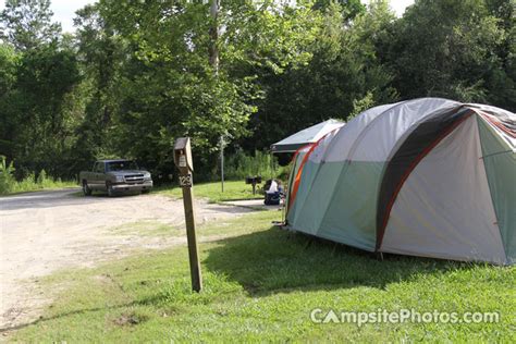 Bogue Chitto State Park - Campsite Photos, Info & Reservations