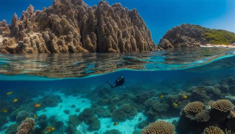 Best Snorkeling Cabo San Lucas | At Los Cabos