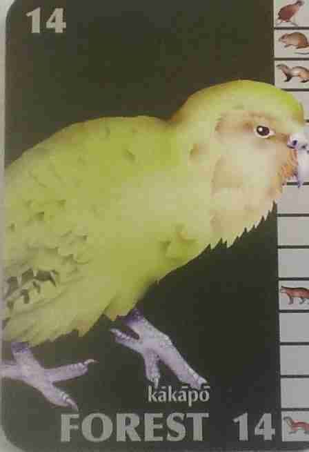 the kākāpō breeding season – Kakariki Games