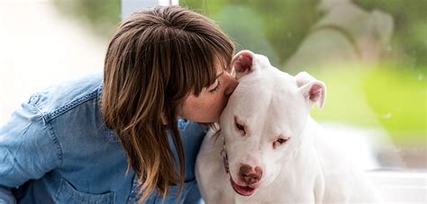 5 Simple Steps You Can Take in Honor of “Be Kind to Animals Week” | ASPCA