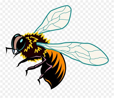 Honey Bee Vector Ai Clipart (#5658250) - PinClipart