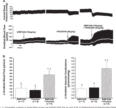 Figure 1 from Neuropeptide Y and neurovascular control in skeletal ...