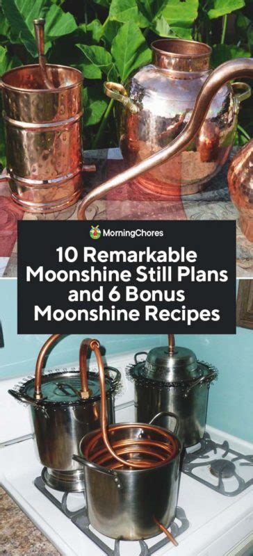 10 DIY Moonshine Still Plans (and 6 Moonshine Recipes to Try) (2022)