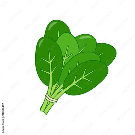 Bunch of spinach vector illustration in cartoon style isolated on white background Stock Vector ...