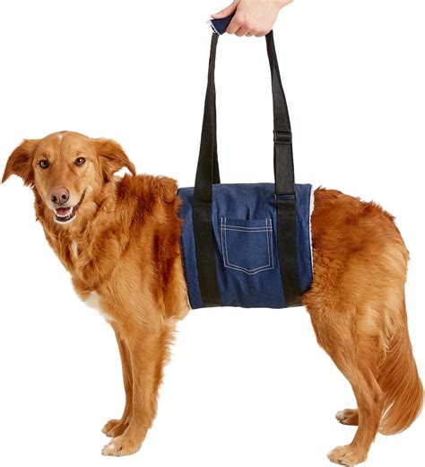 HandicappedPets Dog Support Sling, Large - Chewy.com