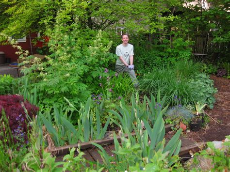 The Bicycle-Gardening Chronicles...: Garden Swale