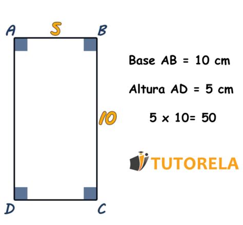 ¿Cómo se calcula el área de un rectángulo? | Tutorela