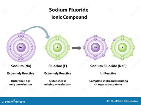 Compuesto Iónico De Fluoruro Sódico Creado Ilustración del Vector ...