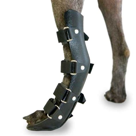 Ortocanis Rear Leg Splint for Dogs