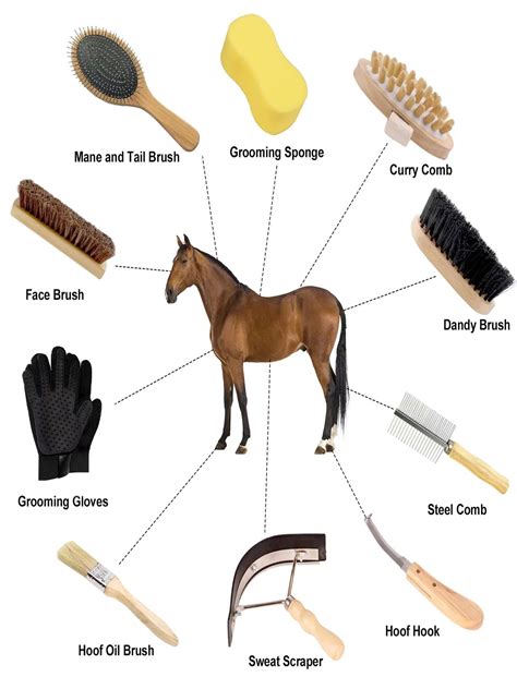 Labelled Horse Grooming Kit | ubicaciondepersonas.cdmx.gob.mx