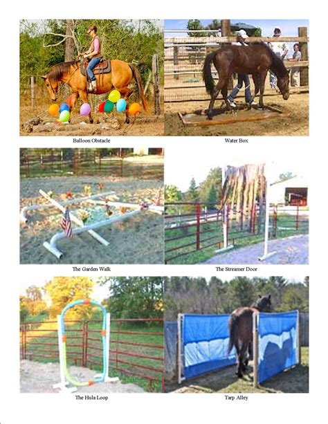 Barrier Super Plus Fly Repellent Trigger | Horses, Horse training, Horse camp