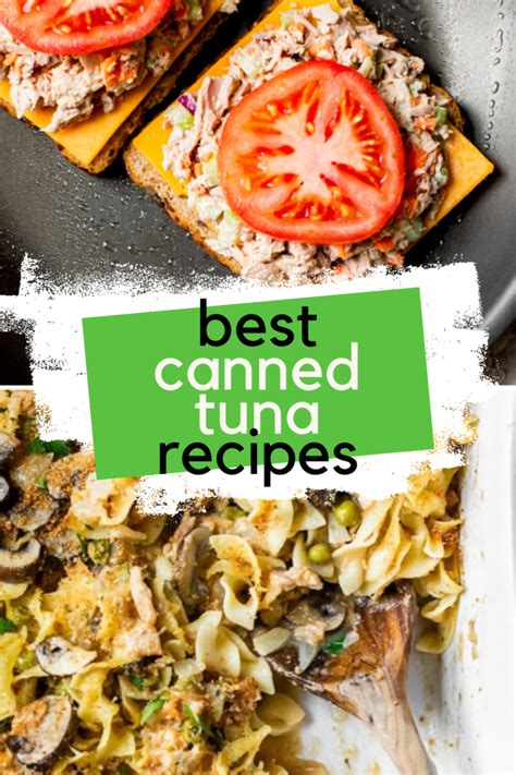 13 Best Canned Tuna Recipes – Nature's Gateway