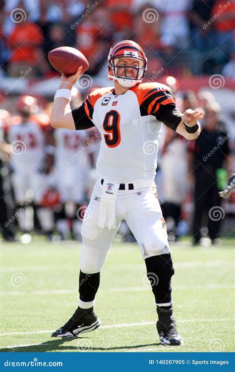 Carson Palmer Cincinnati Bengals Editorial Image - Image of regular ...