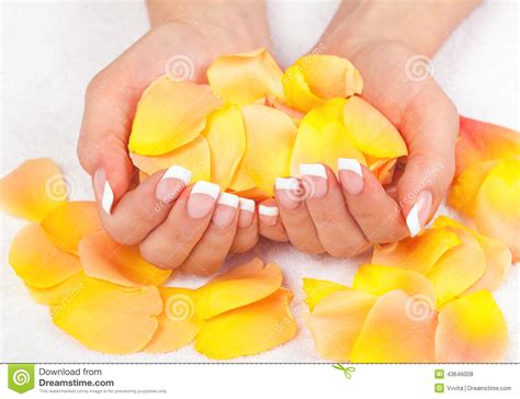 French manicure stock photo. Image of manicure, nails - 43646008