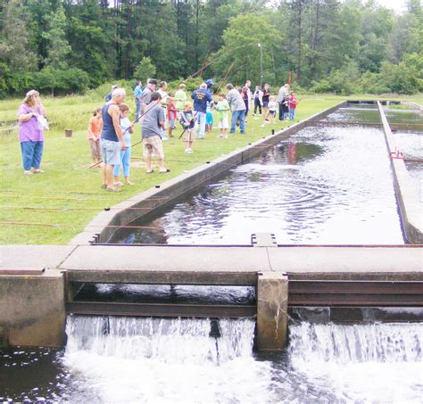 Lake County gears up for summer festival fun