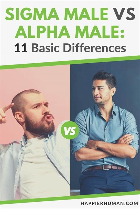 Sigma Male VS Alpha Male: 11 Basic Differences - Happier Human