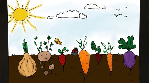 How To Draw A Veggie Garden - YouTube