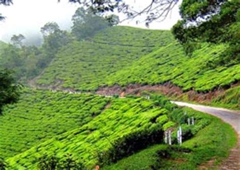 Kerala Hill Stations, Kerala Hill Stations Tour, Hill Stations in Kerala