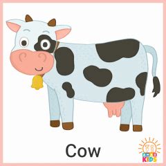 Printable flashcards for kids – Animals | Amax Kids