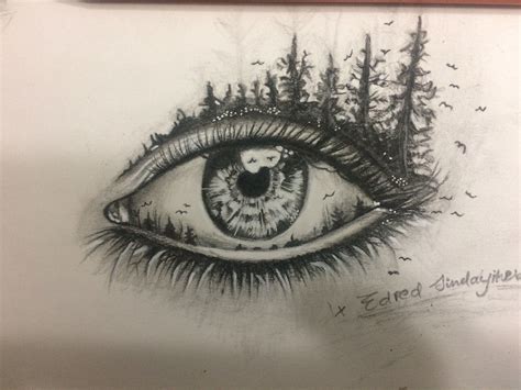 A beautiful creative eye drawing. Not an original from me but drawn by me. Forest, Eagles, Birds ...